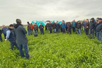 Large turnout for farm walk in Kilkeel
