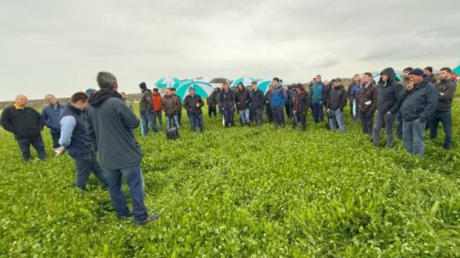 Large turnout for farm walk in Kilkeel